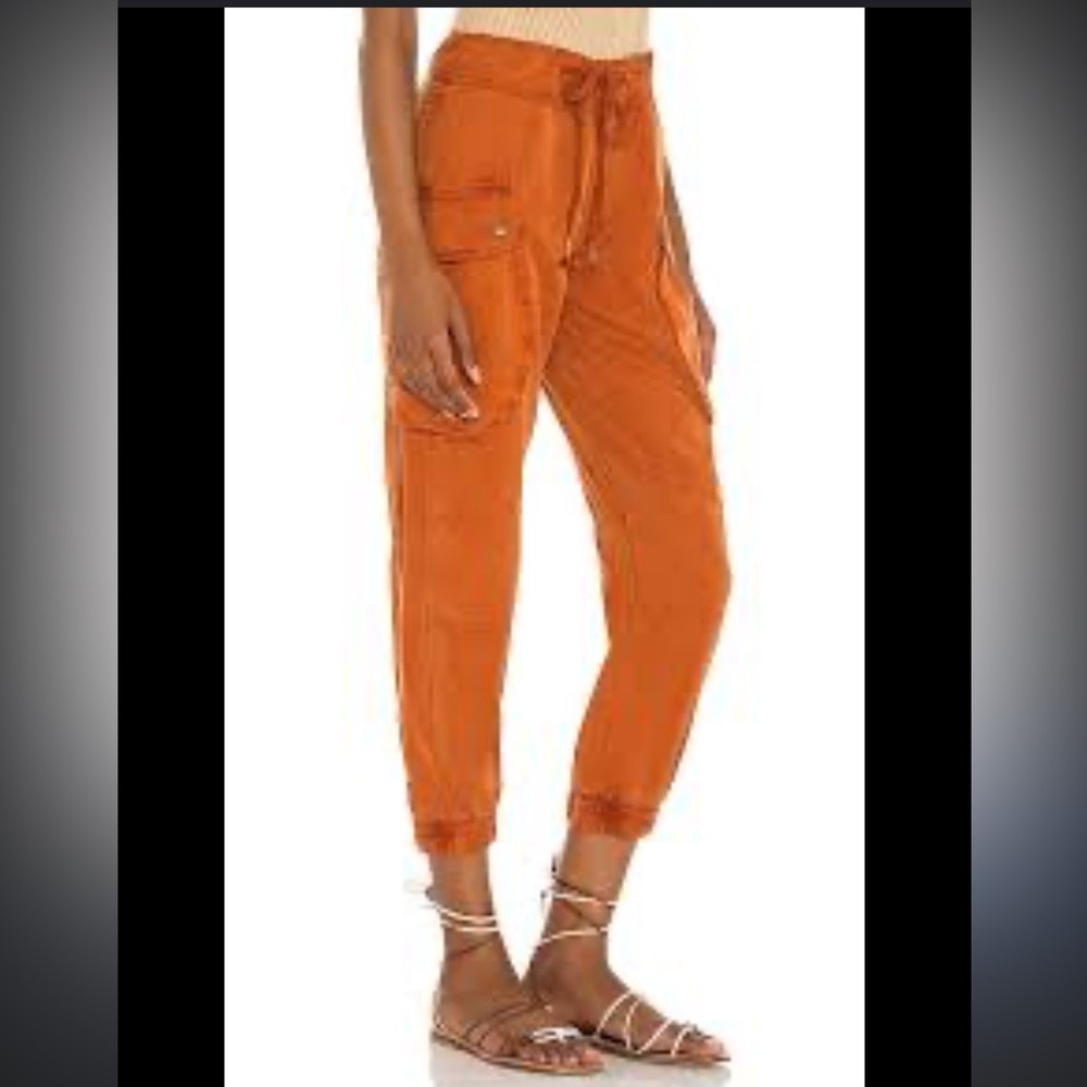YFB CLOTHING Clyde Cargo Pant In Rust